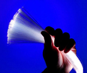 Fiber